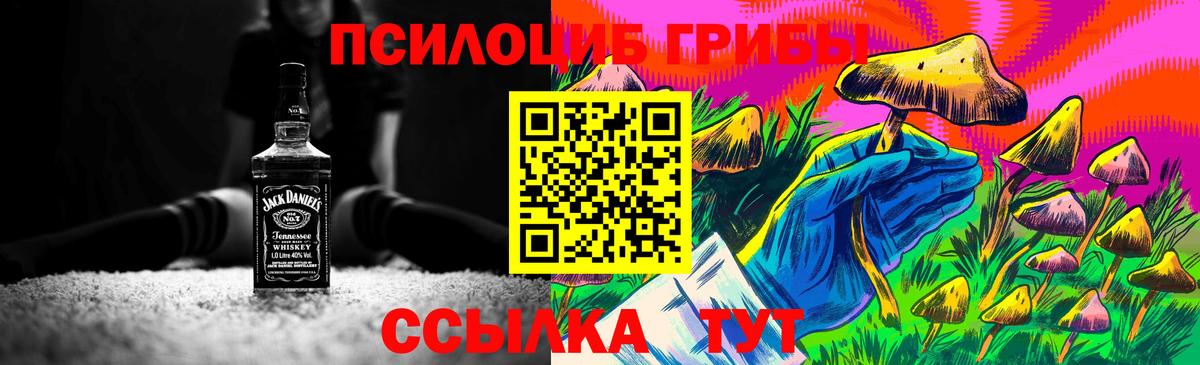 Галлюциногенные грибы Psilocybe Кохма