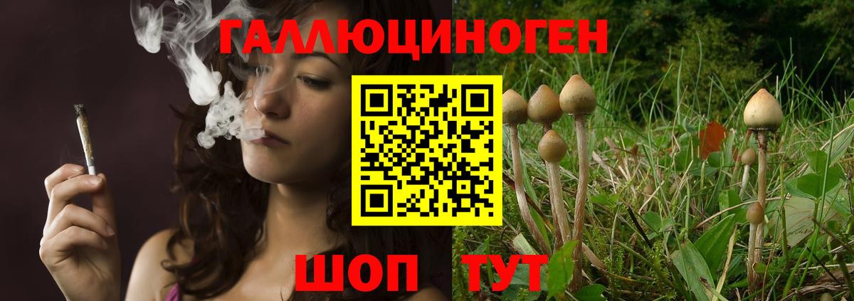Псилоцибиновые грибы мицелий  Вход с VPN  хочу   Кохма  Галлюциногенные грибы Magic Shrooms 