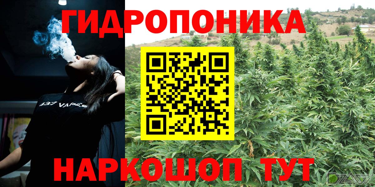 Конопля White Widow  Конопля конопля  Кохма  Вход с VPN 